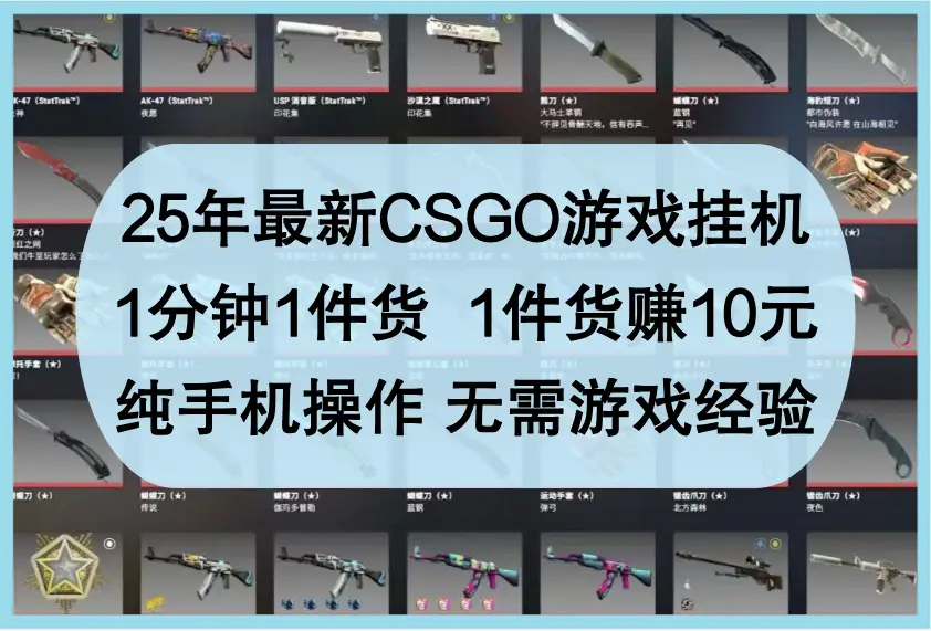 25年最新CSGO游戏挂机,1分钟1件货,1件货赚10元,纯手机操作,无需游戏经验-离锋创库