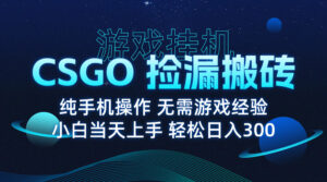 8月最新游戏搬砖，CSGO纯挂机，不需要玩游戏，实现真挂机，月入1W+-离锋创库