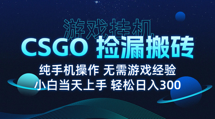 8月最新游戏搬砖，CSGO纯挂机，不需要玩游戏，实现真挂机，月入1W+-离锋创库