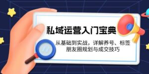 私域运营入门宝典：从基础到实战，详解养号、标签、朋友圈规划与成交技巧-离锋创库