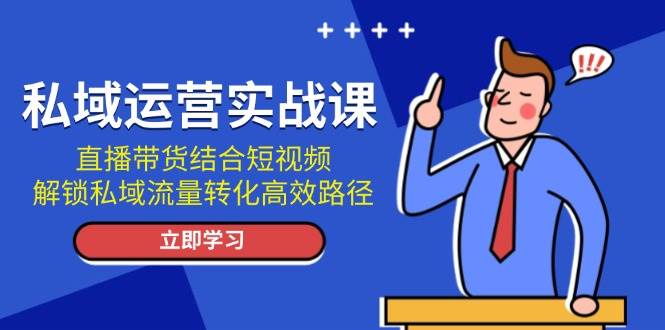 私域运营实战课:直播带货结合短视频,解锁私域流量转化高效路径-离锋创库