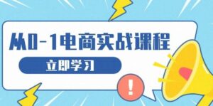 从零做电商实战课程,教你如何获取访客、选品布局,搭建基础运营团队-离锋创库