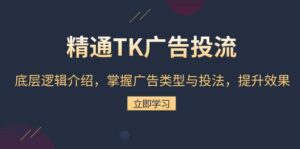 精通TK广告投流：底层逻辑介绍，掌握广告类型与投法，提升效果-离锋创库