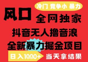 25年6月高爆抖音无人直播最新撸音浪掘金项目，解放双手小白可做，无脑日入1k+，门槛低【揭秘】-离锋创库