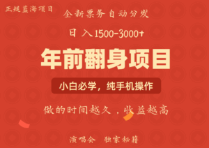 年前可以翻身的项目，日入2000+ 主打长久稳定，利润空间非常的大-离锋创库