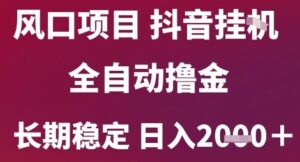 风口项目,六月最新玩法抖音无人挂G,全自动撸金,长期稳定 日入2k+【揭秘】-离锋创库