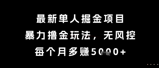 最新单人掘金项目，暴力撸金玩法，无风控，每个月多挣5k+【揭秘】-离锋创库