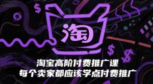 淘宝高阶付费推广课,每个卖家都应该学点付费推广-离锋创库