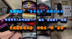 凡视知音:“香车美女”视频引流术,依靠鲜为人知的视频入口,搬运“高端圈子”视频,引流精准创业粉,评论区一堆“求带”-离锋创库