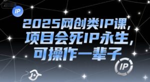 2025网创类IP课，项目会死IP永生，可操作一辈子-离锋创库