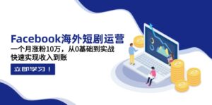 Facebook海外短剧运营：一个月涨粉10万，从0基础到实战，快速实现收入到账-离锋创库