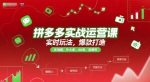 拼多多实战运营课，实时玩法，爆款打造，改销量，补大单，AB单，直播等(更新2025月)-离锋创库
