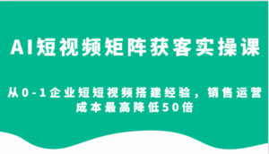 AI短视频矩阵获客实操课,从0-1企业短短视频搭建经验,销售运营成本最高降低50倍-离锋创库