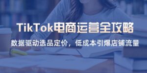 TikTok电商运营全攻略,数据驱动选品定价,低成本引爆店铺流量-离锋创库