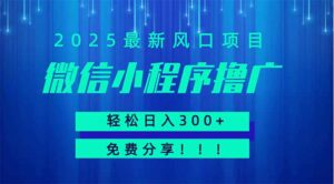 微信小程序撸广,最新风口项目,日入300+ 免费分享 可批量操作 小白可…-离锋创库
