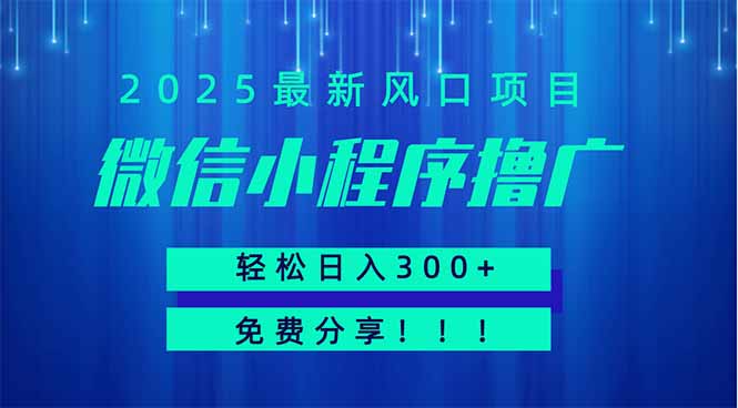 微信小程序撸广，最新风口项目，日入300+ 免费分享 可批量操作 小白可…-离锋创库