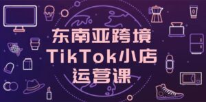 东南亚跨境TikTok小店运营课,掌握店铺设置与流量转化核心技巧-离锋创库