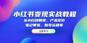 小红书变现实战教程：从小白到精英，产品定价，笔记带货，账号运营等-离锋创库