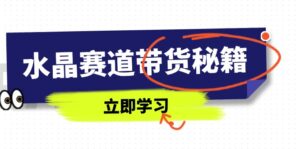 水晶赛道带货秘籍,国学结合、短视频起号、拍摄技巧、直播话术等内容-离锋创库