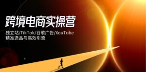 跨境电商实操营:独立站/TikTok/谷歌广告/YouTube,精准选品与高效引流-离锋创库
