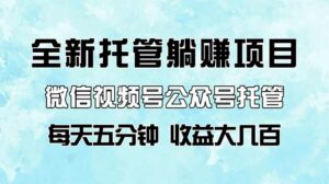 全新托管躺赚项目,微信视频号公众号托管代运营,每天五分钟,收益大几百-离锋创库