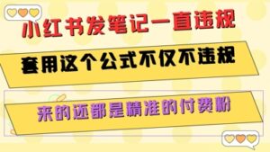 小红书发笔记一直违规,套用这个公式不仅不违规,来的还都是精准的付费粉-离锋创库