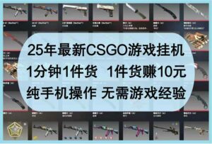25年最新CSGO游戏挂机,1分钟1件货,1件货赚10元 纯手机操作 无需游戏经验-离锋创库