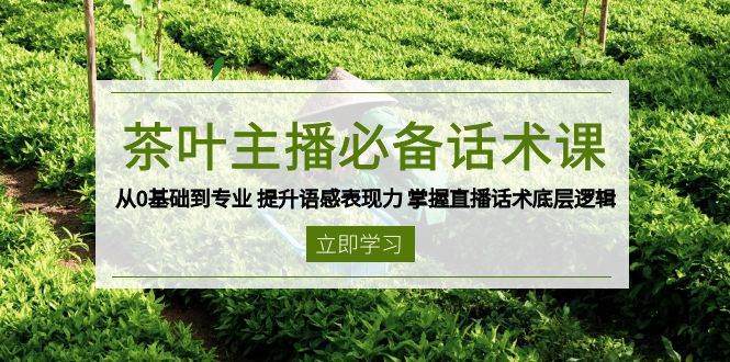 茶叶主播必备话术课 从0基础到专业 提升语感表现力 掌握直播话术底层逻辑-离锋创库