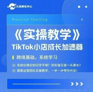 大卖家孵化中心TikTok实操课,TikTok小店成长加速器,跨境基础系统学习,一步一步带你开店-离锋创库