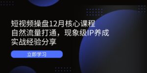 短视频操盘12月核心课程:自然流量打通,现象级IP养成,实战经验分享-离锋创库