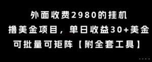 外面收费2980的挂G撸美金项目,单日收益30+美金,可批量可矩阵【揭秘】-离锋创库