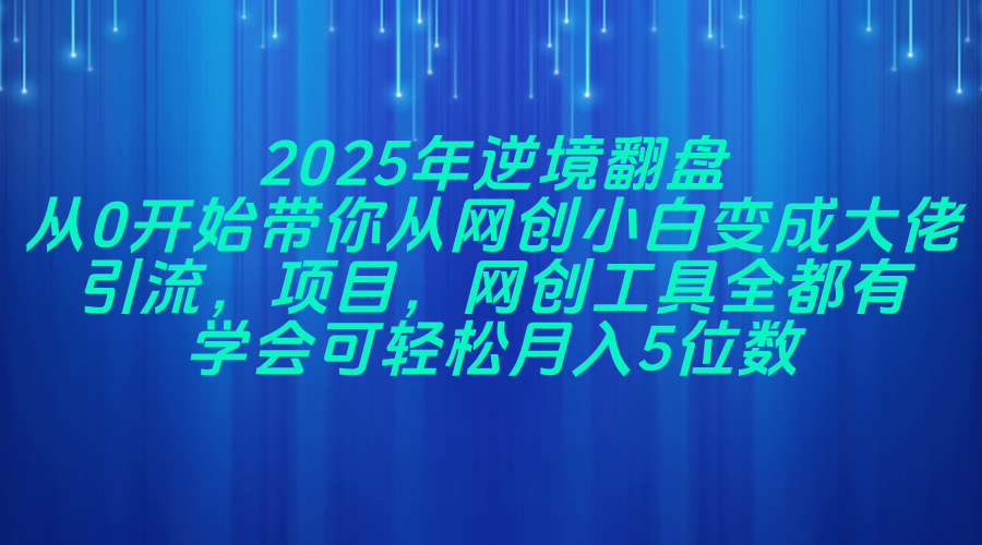 2025年逆境翻盘，从0开始带你从网创小白变成大佬，引流，项目，网创工…-离锋创库