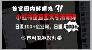 首富圈内部曝光小红书垂直图文引流新课,日吸300+创业粉,日入8张+,限时获取防封禁-离锋创库