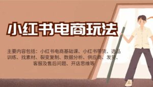 小红书电商玩法：带货/选品/找素材/裂变/数据分析/供应商/发货/售后/开店思维等-离锋创库