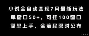 小说全自动变现7月玩法，单窗口50+，可挂100窗口，简单上手，全流程限时公布【揭秘】-离锋创库