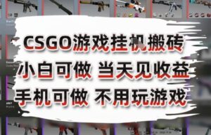 CSGO游戏挂G搬砖,小白纯手机即可操作,不用电脑打游戏,日入3张+,副业网创项目【揭秘】-离锋创库