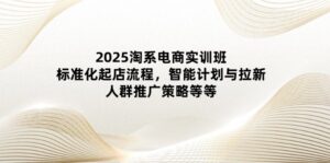 2025淘系电商实训班:标准化起店流程,智能计划与拉新,人群推广策略等等-离锋创库