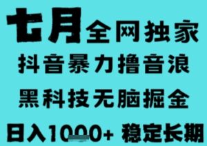 7月最新风口抖音无人直播撸音浪,长期稳定,非短期,全自动运行,低门槛无脑,日入1k+【揭秘】-离锋创库