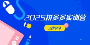 2025拼多多实训营:深度剖析运营关键,助力电商人快速提升-离锋创库