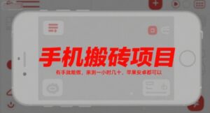 手机搬砖项目,有手就能做,亲测一小时几十,苹果安卓都可以-离锋创库