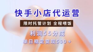 快手小店代运营,限时托管计划,收益55分,单日稳定变现500+-离锋创库