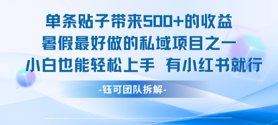 单条贴子带来5张的收益，暑假最好做的私域项目之一，小白也能轻松上手，有小红书就行-离锋创库