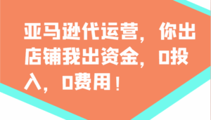 亚马逊代运营，你出店铺我出资金，0投入，0费用，无责任每天300分红，赢亏我承担-离锋创库