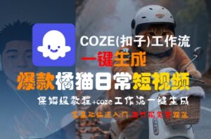 COZE(扣子)工作流一键生成爆款橘猫日常短视频,保姆级教程,零基础快速入门-离锋创库