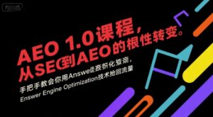 AEO 1.0 课程,从SEO到AE0的基命性转变,手把手教会你用AnswerEngineOptimization技术抢回流量-离锋创库