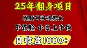 一天收益1000+ 25年开年落地好项目-离锋创库