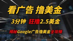 看广告，撸美金！！3分钟赚2.5美金！！日入200美金不是梦！揭秘Google…-离锋创库