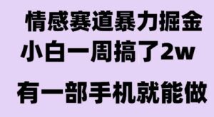 情感暴力掘金项目，新人操作一周挣了2W，长期稳定小白可做【揭秘】-离锋创库