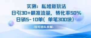 实测私域新玩法日引30加精准流量转化率50%日销5-10单每笔3张-离锋创库