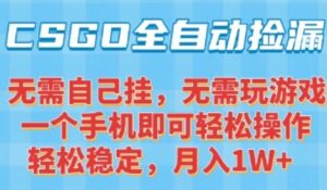 CSGO自动捡漏项目,最新独家玩法,一个手机可操作,新手小白轻松月入1W+,操作简单易上手【揭秘】-离锋创库